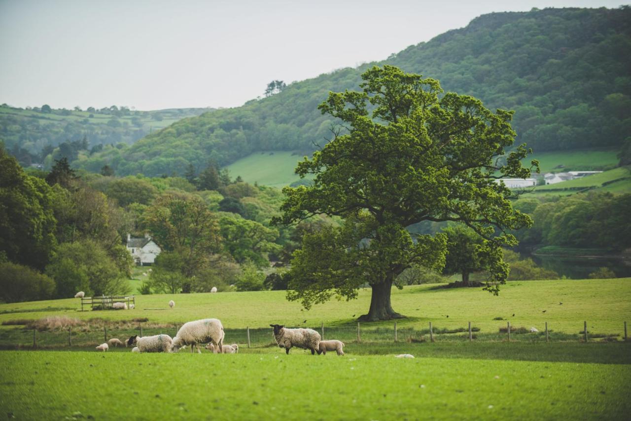Caer Rhun Hall Hotel คอนวี ภายนอก รูปภาพ